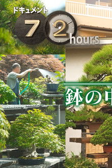 Bonsai A small universe in a pot