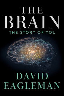 The Brain with David Eagleman poster