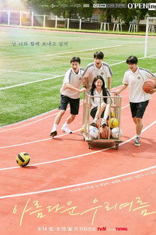 Our Beautiful Summer poster