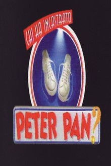 Chi ha incastrato Peter Pan? poster