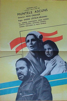 Hidden Mountain poster