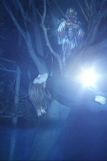 Footsteps of Destruction