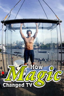 How Magic Changed TV poster
