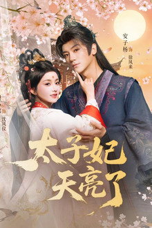 太子妃天亮了 poster