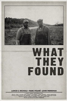 What They Found poster