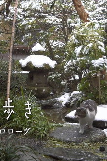 The Four Seasons of Kyoto: Prologue