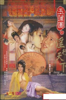 Secret Dalliance poster