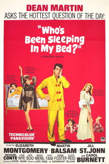 Who's Been Sleeping in My Bed? poster