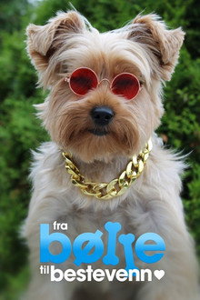 From bully to best friend poster