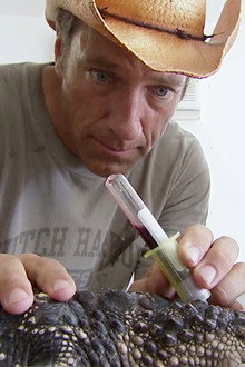 Alligator Egg Collector