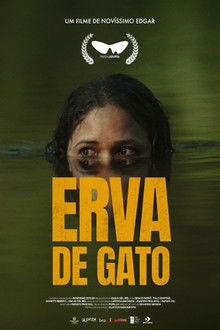 Erva de Gato poster