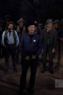 The Lawmaker