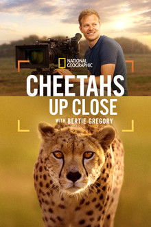 Cheetahs Up Close with Bertie Gregory poster