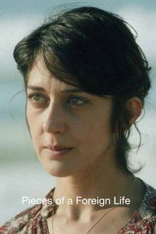 Pieces of a Foreign Life poster