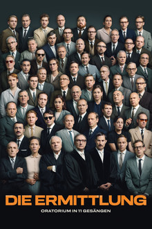 The Investigation poster