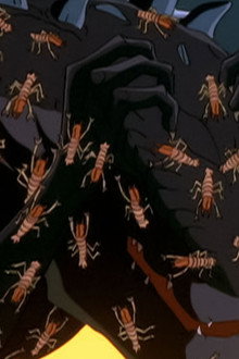 Bug Out