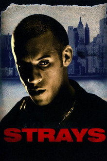 Strays poster