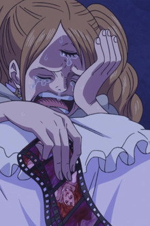 The Parting Time! Pudding's Last Wish!