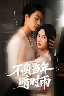 不负当年晴时雨 poster