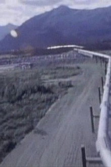 The Alaskan Oil Pipeline