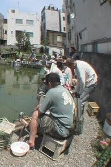 Tokyo, Asagaya: By the Goldfish Pond