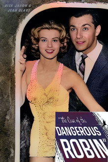 The Case of the Dangerous Robin poster