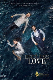 Endless Love poster