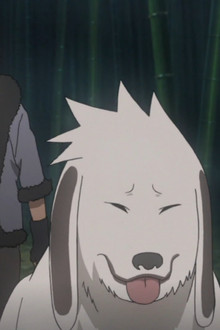 Hidden Leaf Story, The Perfect Day for a Wedding, Part 5: The Last Mission