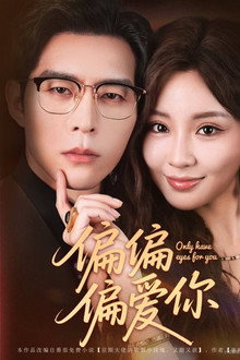 偏偏偏爱你 poster