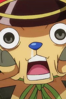 The Curtain Falls! The Winner, Straw Hat Luffy!