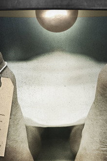 The Poisoner's Handbook