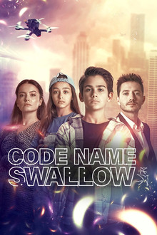 Kod Adı: Kırlangıç poster