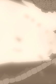 The Military is a Great Matter of the State