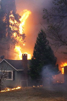 Inside the Megafire