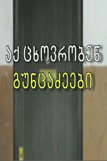 The Guntsadzes Live Here poster