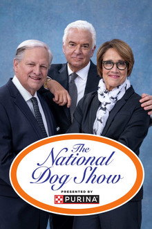 The National Dog Show poster