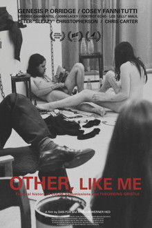 Other, Like Me poster