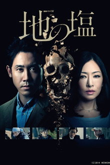 Salt of the Earth poster