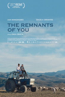 The Remnants of You poster