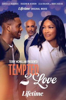 Terry McMillan Presents: Tempted 2 Love poster