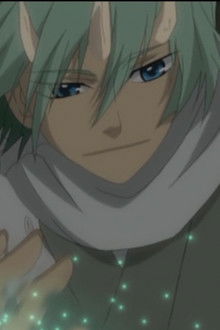 Dark and Thick Woods