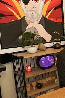 Stuck in a Mammal Groove