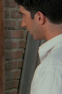 The One with Ross's New Girlfriend