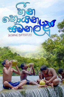 Dreaming Butterflies poster