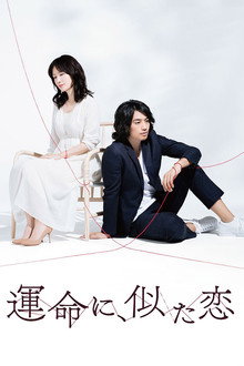 Destiny-Like Love poster