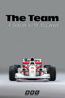 The Team: A Season With McLaren poster