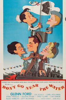 Don't Go Near the Water poster