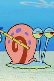 Have You Seen This Snail?