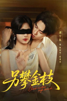 另攀金枝 poster