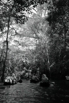 Into the Amazon